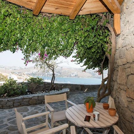 Anemoessa Villas With Pool Mykonos Town Exterior foto